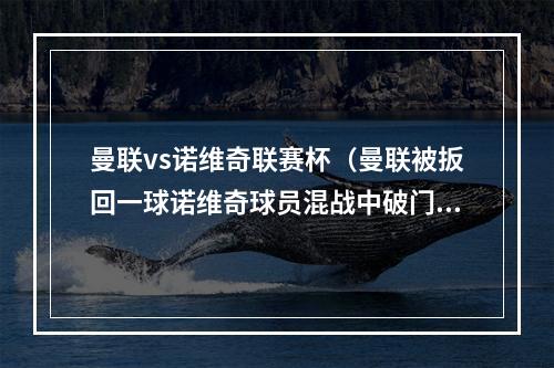 曼联vs诺维奇联赛杯（曼联被扳回一球诺维奇球员混战中破门）