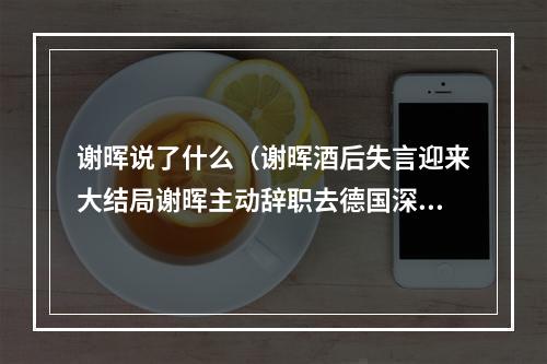 谢晖说了什么（谢晖酒后失言迎来大结局谢晖主动辞职去德国深造 临行赠言我会回来的）