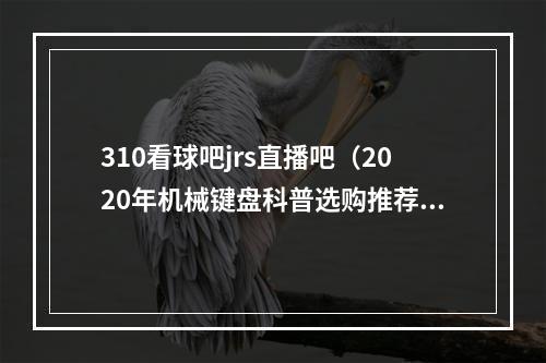 310看球吧jrs直播吧（2020年机械键盘科普选购推荐）