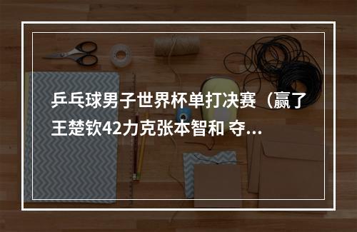 乒乓球男子世界杯单打决赛（赢了王楚钦42力克张本智和 夺WTT世界杯男单冠军）