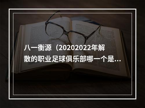 八一衡源（20202022年解散的职业足球俱乐部哪一个是你曾经的主队）