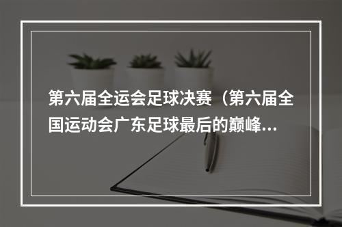 第六届全运会足球决赛（第六届全国运动会广东足球最后的巅峰之作上）