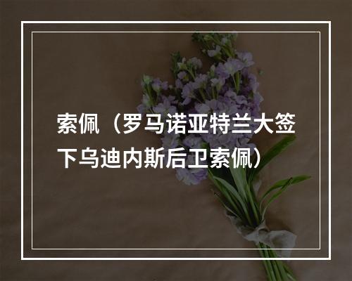 索佩（罗马诺亚特兰大签下乌迪内斯后卫索佩）