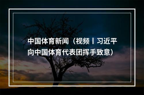 中国体育新闻（视频丨习近平向中国体育代表团挥手致意）