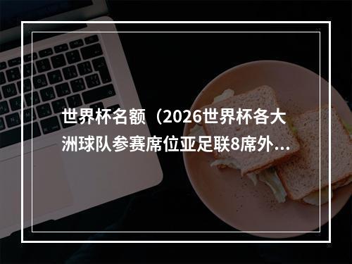 世界杯名额（2026世界杯各大洲球队参赛席位亚足联8席外加1个附加赛名额）