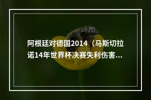 阿根廷对德国2014（马斯切拉诺14年世界杯决赛失利伤害最大 加时赛中我们身心俱疲）