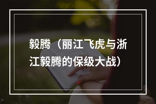 毅腾（丽江飞虎与浙江毅腾的保级大战）