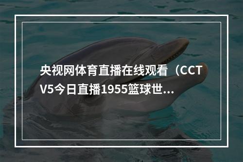 央视网体育直播在线观看（CCTV5今日直播1955篮球世界杯B组波多黎各塞尔维亚）