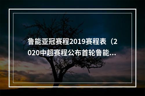 鲁能亚冠赛程2019赛程表（2020中超赛程公布首轮鲁能vs富力）