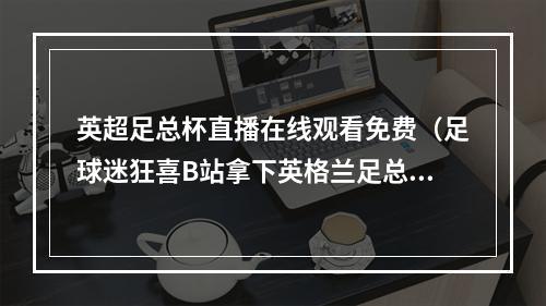 英超足总杯直播在线观看免费（足球迷狂喜B站拿下英格兰足总杯版权 并将免费直播）