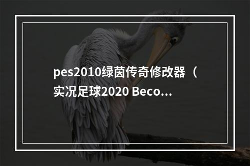 pes2010绿茵传奇修改器（实况足球2020 Become a Legend 绿茵传奇模式测评）