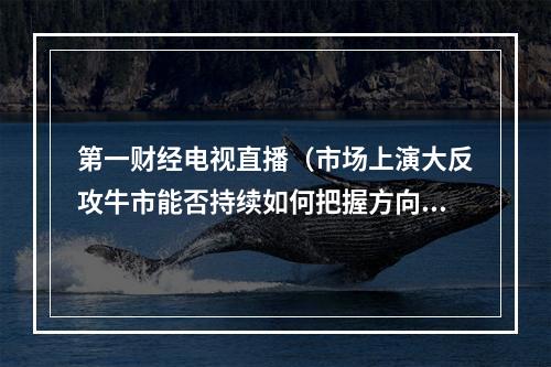 第一财经电视直播（市场上演大反攻牛市能否持续如何把握方向这场直播嘉宾深入分析）