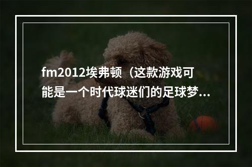 fm2012埃弗顿（这款游戏可能是一个时代球迷们的足球梦）