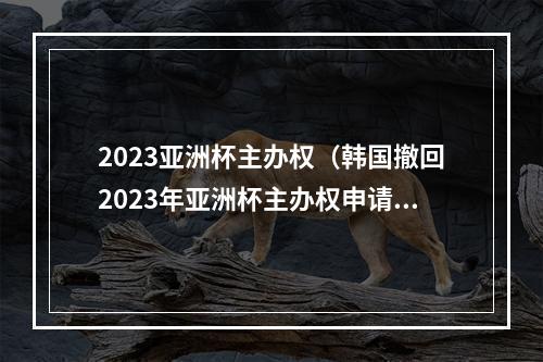 2023亚洲杯主办权（韩国撤回2023年亚洲杯主办权申请）