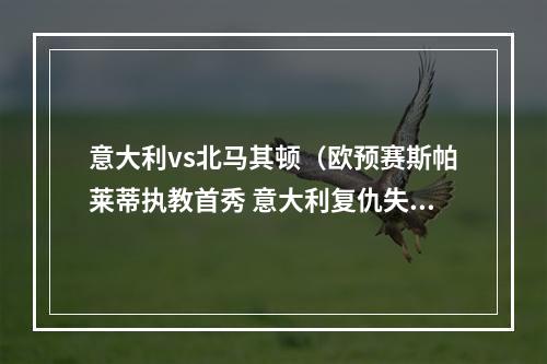 意大利vs北马其顿（欧预赛斯帕莱蒂执教首秀 意大利复仇失败11遭北马其顿逼平）