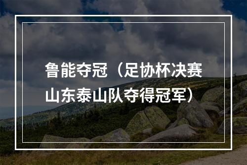 鲁能夺冠（足协杯决赛山东泰山队夺得冠军）