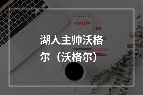 湖人主帅沃格尔（沃格尔）