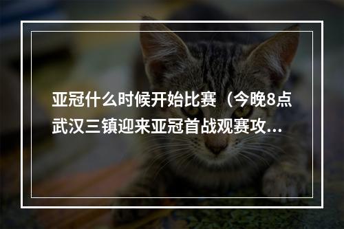 亚冠什么时候开始比赛（今晚8点武汉三镇迎来亚冠首战观赛攻略来了→）