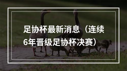 足协杯最新消息（连续6年晋级足协杯决赛）