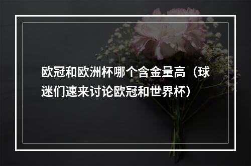 欧冠和欧洲杯哪个含金量高（球迷们速来讨论欧冠和世界杯）