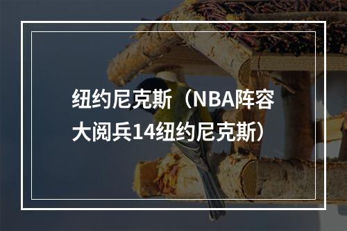 纽约尼克斯（NBA阵容大阅兵14纽约尼克斯）