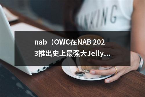 nab（OWC在NAB 2023推出史上最强大Jellyfish）