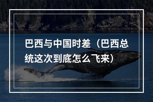 巴西与中国时差（巴西总统这次到底怎么飞来）