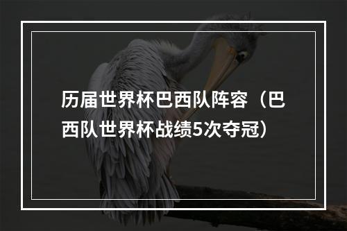 历届世界杯巴西队阵容（巴西队世界杯战绩5次夺冠）