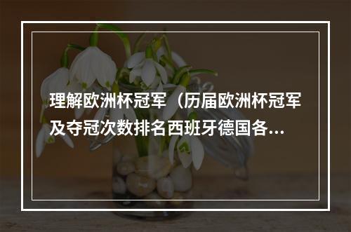 理解欧洲杯冠军（历届欧洲杯冠军及夺冠次数排名西班牙德国各三冠并列第一）