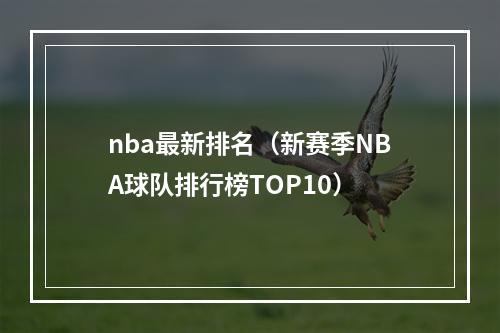 nba最新排名（新赛季NBA球队排行榜TOP10）