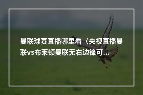 曼联球赛直播哪里看（央视直播曼联vs布莱顿曼联无右边锋可用 布莱顿不惧big6）