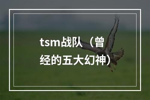 tsm战队（曾经的五大幻神）