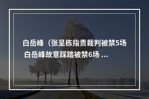 白岳峰（张呈栋指责裁判被禁5场 白岳峰故意踩踏被禁6场 贵州遭通报批评）