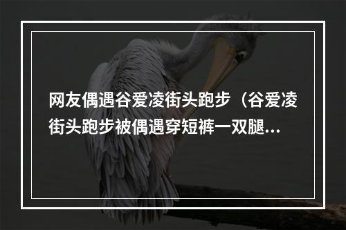 网友偶遇谷爱凌街头跑步（谷爱凌街头跑步被偶遇穿短裤一双腿冻到发红）