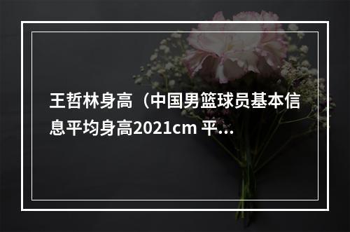 王哲林身高（中国男篮球员基本信息平均身高2021cm 平均年龄2475岁）