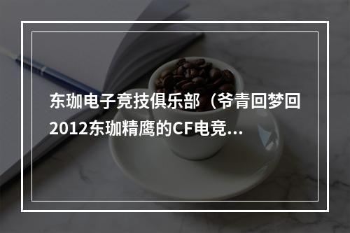 东珈电子竞技俱乐部（爷青回梦回2012东珈精鹰的CF电竞之旅）