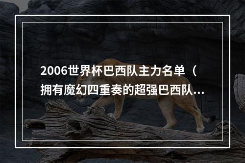 2006世界杯巴西队主力名单（拥有魔幻四重奏的超强巴西队）