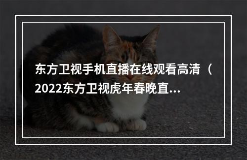 东方卫视手机直播在线观看高清（2022东方卫视虎年春晚直播时间在线观看入口地址最新分享）