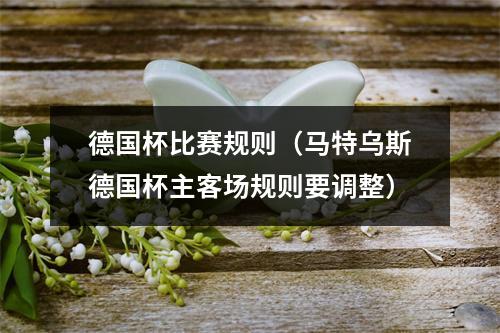 德国杯比赛规则（马特乌斯德国杯主客场规则要调整）