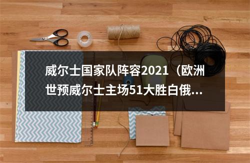 威尔士国家队阵容2021（欧洲世预威尔士主场51大胜白俄罗斯）