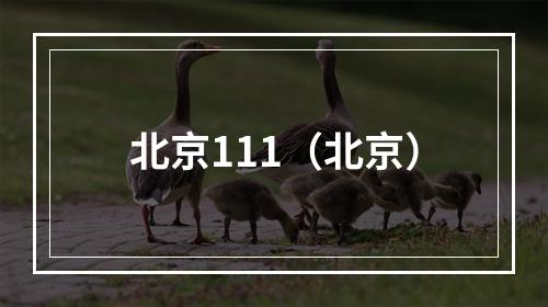 北京111（北京）