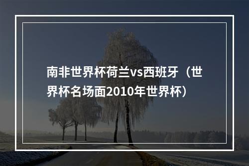 南非世界杯荷兰vs西班牙（世界杯名场面2010年世界杯）