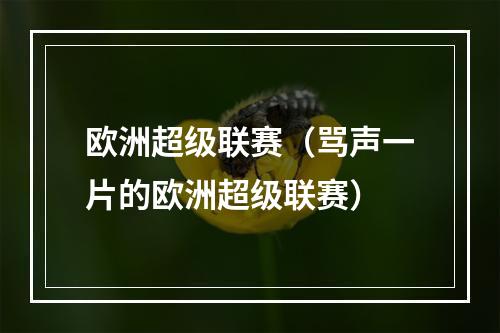 欧洲超级联赛（骂声一片的欧洲超级联赛）