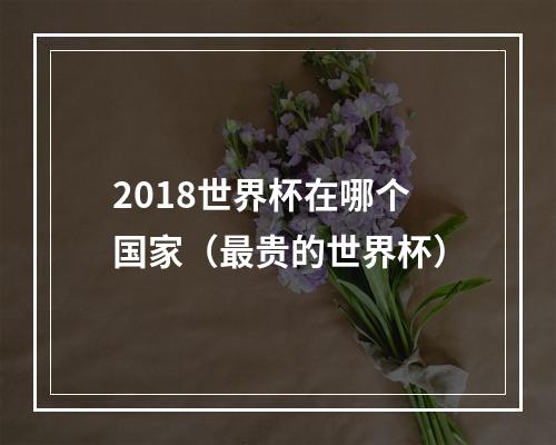 2018世界杯在哪个国家（最贵的世界杯）