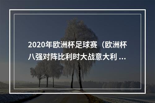 2020年欧洲杯足球赛（欧洲杯八强对阵比利时大战意大利 英格兰PK乌克兰 西班牙战瑞士）