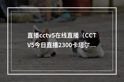 直播cctv5在线直播（CCTV5今日直播2300卡塔尔世界杯14决赛克罗地亚巴西）