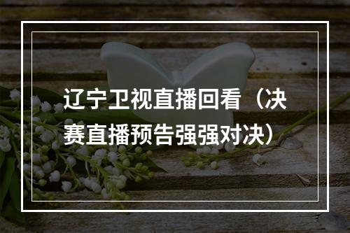 辽宁卫视直播回看（决赛直播预告强强对决）