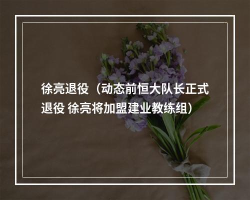 徐亮退役（动态前恒大队长正式退役 徐亮将加盟建业教练组）