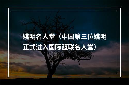 姚明名人堂（中国第三位姚明正式进入国际篮联名人堂）