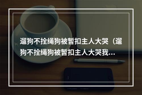 遛狗不拴绳狗被暂扣主人大哭（遛狗不拴绳狗被暂扣主人大哭我有绳子执法人员回怼为何不牵着）